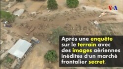 Trafic de bois à la frontière sénégalo-gambienne (vidéo)