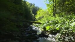 Bitka za rijeku mještana Krušćice kod Viteza