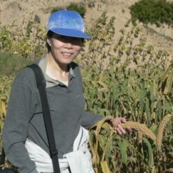 清华大学社会学系教授郭于华