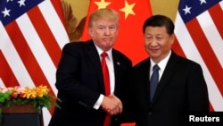 美国总统川普与中国国家主席习近平在北京人大会堂举行联合记者会时握手。（２０１７年１１月９日）