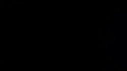 Студія Вашингтон