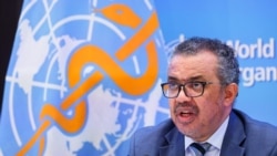 테드로스 아드하놈 게브레예수스 세계보건기구(WHO) 사무총장이 20일 스위스 제네바에서 기자회견하고 있다.
