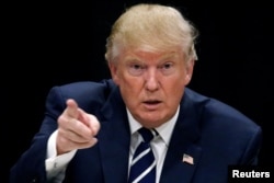 FILE - President-elect Donald Trump.