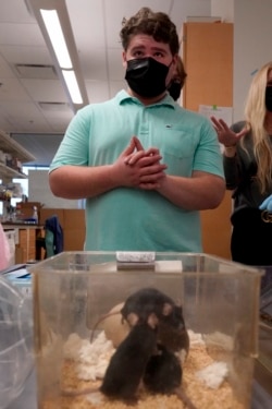 Jake met the mice and the researchers at Washington University in St. Louis, Dec. 15, 2021, in St. Louis. (AP Photo/Jeff Roberson)