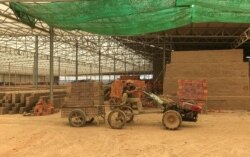 បុរសម្នាក់កំពុងដឹកឥដ្ឋដោយគោយន្តយកទៅឡ ក្នុងបរិវេណសិប្បកម្មឡឥដ្ឋ នៅឃុំព្រែកអញ្ចាញ ស្រុកមុខកំពូល ខេត្តកណ្តាល កាលពីថ្ងៃទី១៥ ខែតុលា ឆ្នាំ២០២១។ (កាន់ វិច្ឆិកា/វីអូអេ)