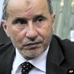 Mustapha Abdel Jalil, Shugaban Majalisar mulkin wucin gadin kasar Libiya