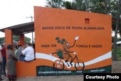 In Mozambique, the organization HarvestPlus promotes eating more orange-colored sweet potatoes. (Photo Courtesy - HarvestPlus)