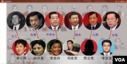 巴拿马文件透露，中国有些高官的亲戚有离岸帐户，图片显示了一部分（头像来自网络，美国之音合成）