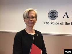 Kirsti Kauppi, Finland's ambassador to the United States.