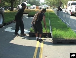 Containers of wheat plants at various stages of the life cycle formed a mobile wheat field that covered a quarter-block of a DC street.