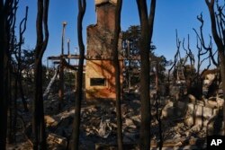 Burned trees surround a destroyed home leaving only the fireplace in Point Dume in Malibu, California, Nov. 11, 2018.
