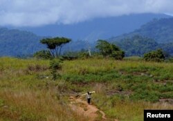 FILE - A man returning from the jungle carries wood toward a refugee camp just outside the Solomon Island's capital Honiara, July 23, 2003.