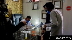 طبابت در زمان بی‌برقی در ایران 