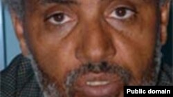 በየነ ጴጥሮስ - ፕሮፌሰር /የመድረክ ሊቀመንበር/