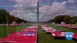 አሜሪካውያን "በፆታ ጥቃት ላይ"