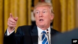 Presiden Donald Trump di Gedung Putih, Washington DC, 7 Maret 2017. (AP Photo/Andrew Harnik) 