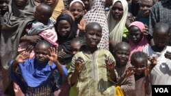 The U.N. says 450,000 children are at risk of severe acute malnutrition in northeast Nigeria. (M. Besheer/VOA)