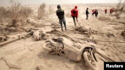 Tim SAR melewati motor yang diselimuti debu setelah Gunung Sinabung meletus di desa Suka Meriah di Karo, Sumatera Utara 2 Februari 2014. 