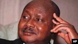 A 200-meter-high chimney, built from about 7,000 tons of concrete, bricks and steel, is brought down in a controlled explosion at Port Kembla, south of Sydney, Australia. Nearly 1,000 explosive charges were placed around the copper stack, which broke into at least two pieces just before hitting the ground as thousands of people gathered to watch the explosion.