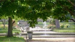 The still-closed off Tuilleries gardens in Paris. A two-month lockdown has allowed it and other green spaces to recover. (Lisa Bryant/VOA)
