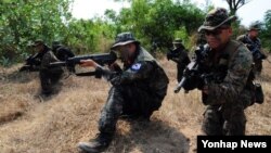 2014 코브라골드 훈련에 참가 중인 미국과 한국, 태국 해병대가 14일 태국만 해안 일대에서 대규모 연합 상륙훈련을 실시했다.