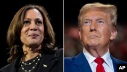 미국 민주당 대통령 후보인 카멀라 해리스 부통령과 공화당 후보인 도널드 트럼프 전 대통령.