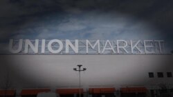 Musim Semi di Washington DC (4)