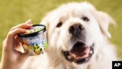This photo provided by Ben & Jerry’s shows Ben & Jerry’s dog treats. The venerable Vermont ice cream company said Thursday, Jan. 7, 2021, it’s introducing a line of frozen dog treats, its first foray into the lucrative pet food market. 