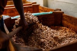 Cocoa beans are seen during the fermentation process at the Altamira farm in Itajuipe, Bahia state, Brazil, Dec. 13, 2019.