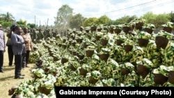 Filipe Nyusi no Encerramento do Curso Militar em Montepuez, na Província de Cabo Delgado.