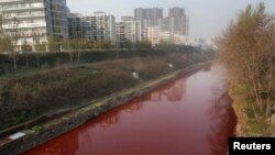 2011年12月13日河南洛阳涧河被污染的呈血红色的河水。