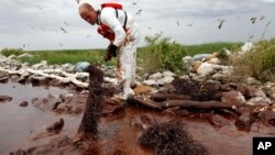 FILE- A worker picks up blobs of oil with absorbent snare on Queen Bess Island at the mouth of Barataria Bay near the Gulf of Mexico in Plaquemines Parish, Louisiana.