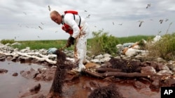 Seorang pekerja mengambil gumpalan-gumpalan tumpahan minyak di Pulau Queen Bess Island di mulut Teluk Barataria dekat Teluk Meksiko di Plaquemines Parish, Louisiana, 2010. (Foto:Dok)