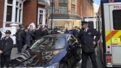 Trump Denies Knowledge of WikiLeaks, as US Requests Assange Extradition