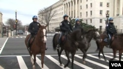 Pasukan berkuda adalah bagian dari tim pengamanan inagurasi Presiden hari Senin nanti (foto: dok). 