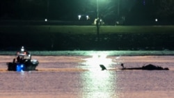 ဝါရှင်တန်မြို့တော်အနီး လေယာဉ်ပျက်ကျမှုက သေဆုံးသူ ၂၈ လောင်းတွေ့ရှိထား