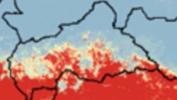 Anicet Georges Dologuele joint par Felix Yepassis-Zembrou