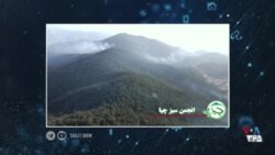 تبلت: آتش در جنگل‌های کردستان، نان گران، فرزندان سلیمانی در رفاه با برندهای آمریکایی