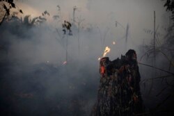 A tree stump glows with fire amid smoke along the road to Jacunda National Forest, near the city of Porto Velho in the Vila Nova Samuel region which is part of Brazil's Amazon, Aug. 26, 2019.
