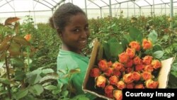 የግብርና ምርት ወደ ዓለም ገበያ ለማቅረብ ከፈልጉ