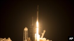 تصویری از لحظه 