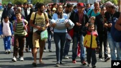 10일 난민들이 오스트리아 국경을 넘고 있다. 오스트리아 경찰은 하룻밤에 3천명이 넘는 난민이 헝가리 접경 도시 니켈스도르프로 들어왔다고 밝혔다.