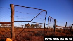 Sebuah gerbang tua di pagar dingo berusia 100 tahun dapat dilihat di pinggiran kota pedalaman Queensland, Stonehenge di Australia, 12 Agustus 2017. (Foto: REUTERS/David Gray)