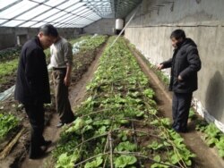 독일의 구호단체 '카리타스 독일'이 북한 원산 결핵 병원에 지은 태양열 온실. 사진 출처= 카리타스 독일 홈페이지.