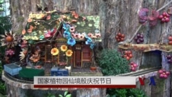 国家植物园仙境般庆祝节日