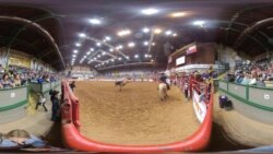 Texas Rodeo Bronco Riding