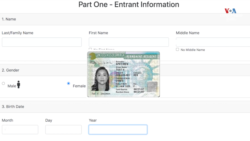 Գրին քարտի խաղարկության հետ կապված միֆեր և հետաքրքիր փաստեր. NEXT ՍՏՈՊ 