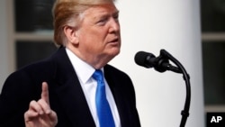 特朗普总统在白宫玫瑰园讲话。(2019年2月15日)