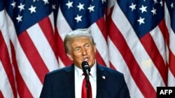 资料照 - 2024 年 11 月 6 日，美国当选总统唐纳德·特朗普在佛罗里达州西棕榈滩西棕榈滩会议中心举行的选举之夜活动上发表讲话。