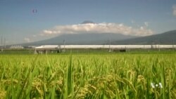 เปรียบเทียบรถไฟ ญี่ปุ่น-จุีน กับการลงทุนระบบรถไฟความเร็วสูงในเอเชีย